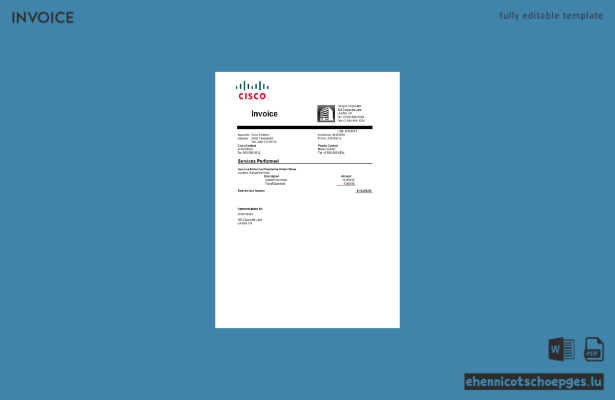 USA Cisco Rechnungsbeispiel (Vorschau)